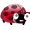 ladybug.png